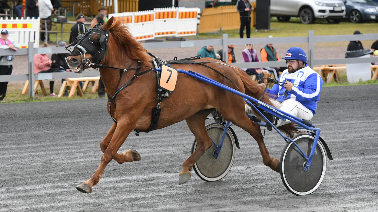 Santeri Oikarainen on ajanut urallaan lähes 260 starttia. Kuvassa Santeri Veli Mourujärven valmentaman Tarun Tuhkimon rattaiilla Ylivieskan Kavioliigaraveissa elokuun alussa.