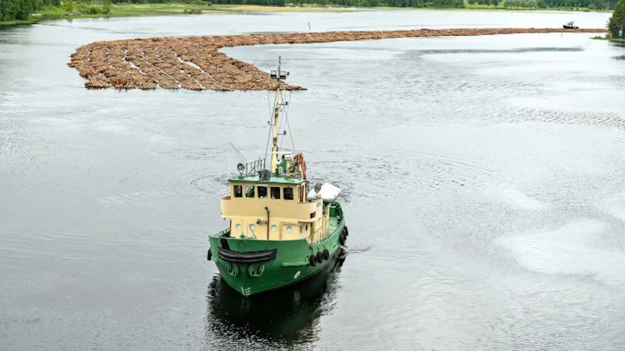 Suomessa metsäteollisuuden tuotteiden osuus maan tavaraviennistä on merkittävästi suurempi kuin millään muulla jäsenvaltiolla.