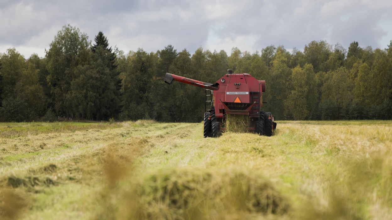 Syksyn 2022 sadonkorjuu alkaa olla ohi ja satonäkymät ovat viime syksyä paremmat.