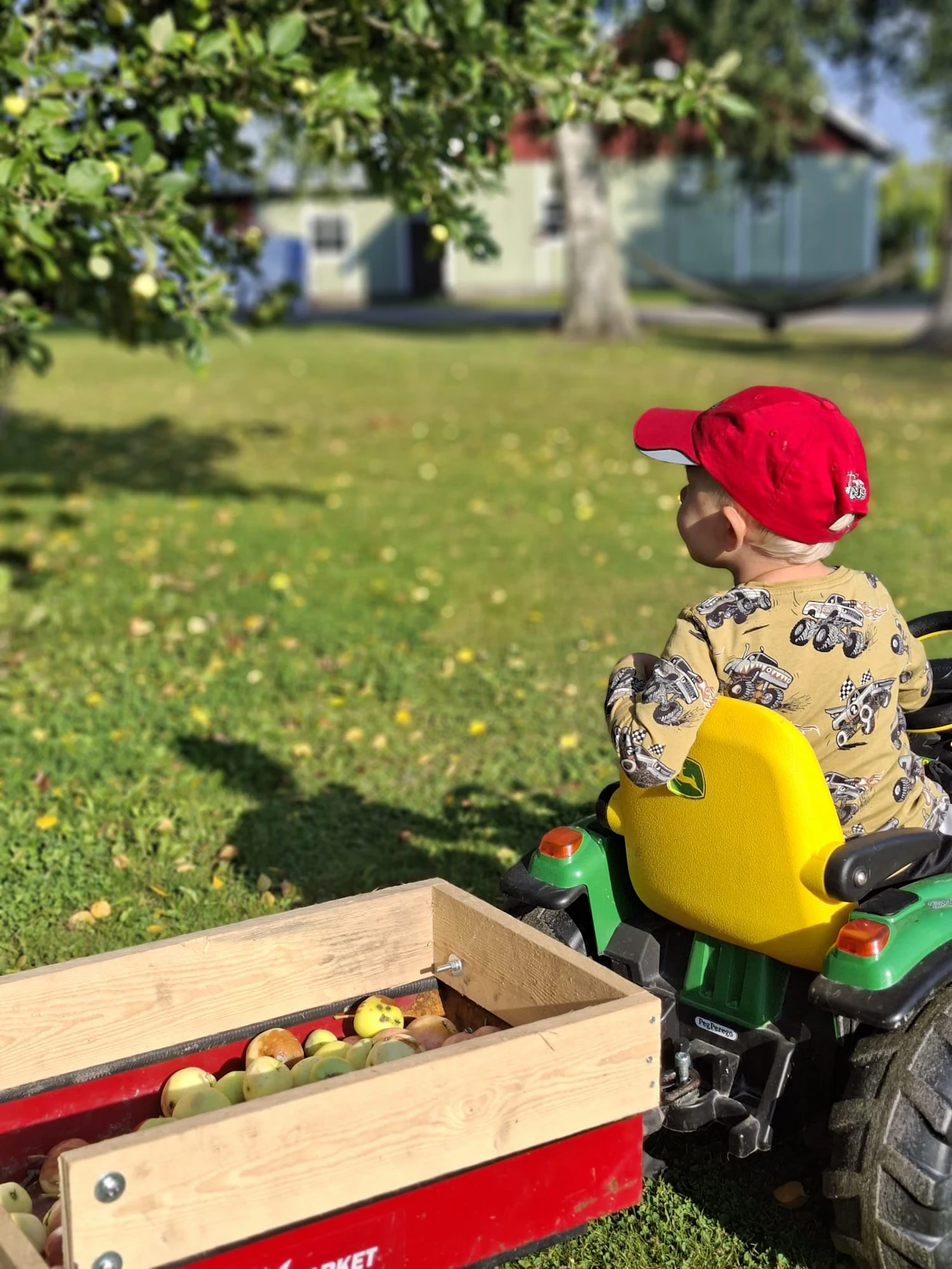 Eetun työnkuva on monipuolinen. Viljan lisäksi omenat ja perunat liikkuvat paikasta toiseen.