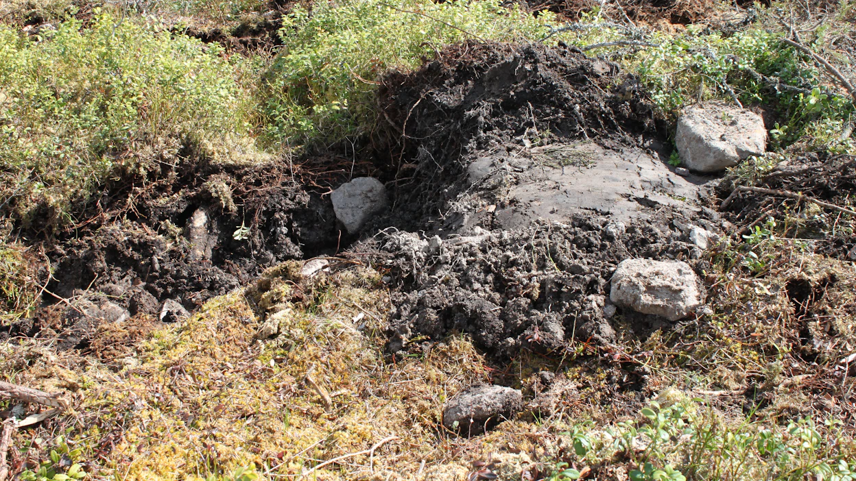 Metsä Group nostaa maaperän kantavuuden yhdeksi puukaupan hinnoittelutekijäksi.