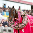 Hohneck puolustaa Elitloppet-voittoaan Solvallassa. Philippe Allairen hevosta ohjastaa viime vuoden tapaan Gabriele Gelormini.