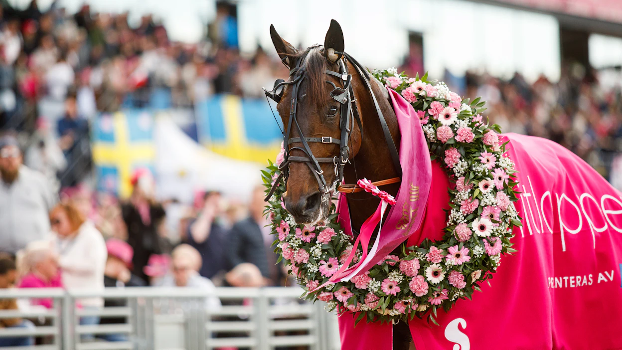 Gabriele Gelorminin ohjastama Hohneck juhli viime vuonna Elitloppet-voittoa.