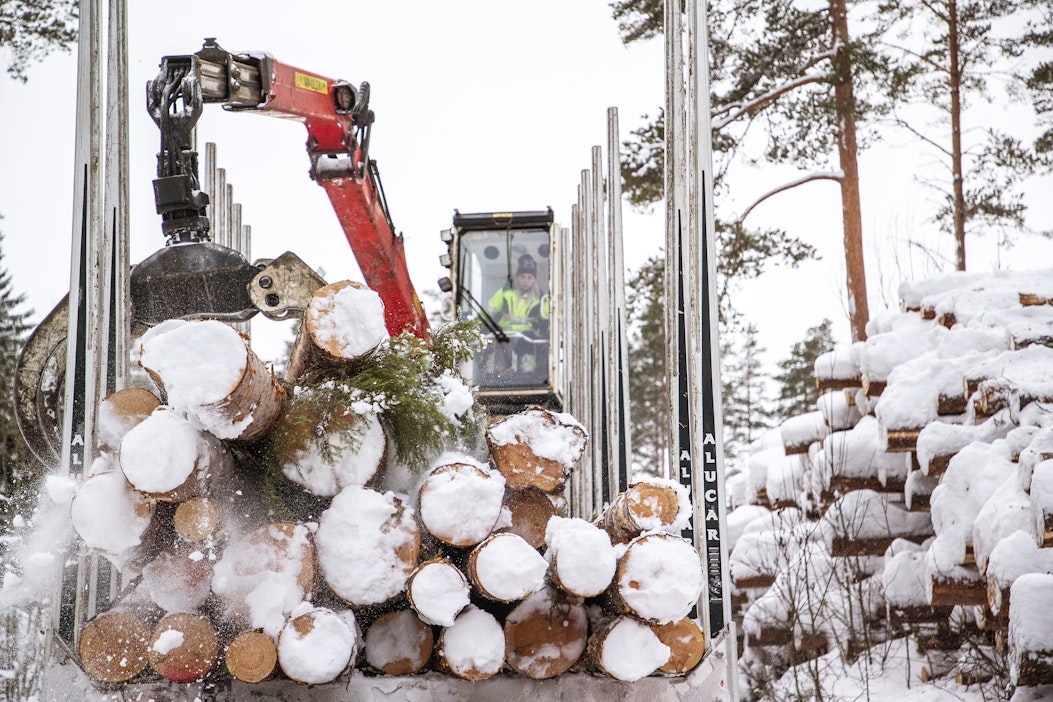 Hakkuut vähenivät 75 miljoonaan kuutiometriin viime vuonna ‒ puuston  kokonaismäärä suureni Suomen metsissä 14 miljoonaa kuutiometriä - MT Metsä  - Maaseudun Tulevaisuus