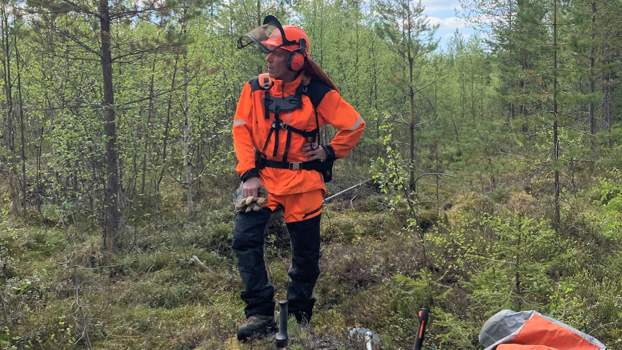 Metsuri Hannu Oinas katselee tiheää työmaataan.