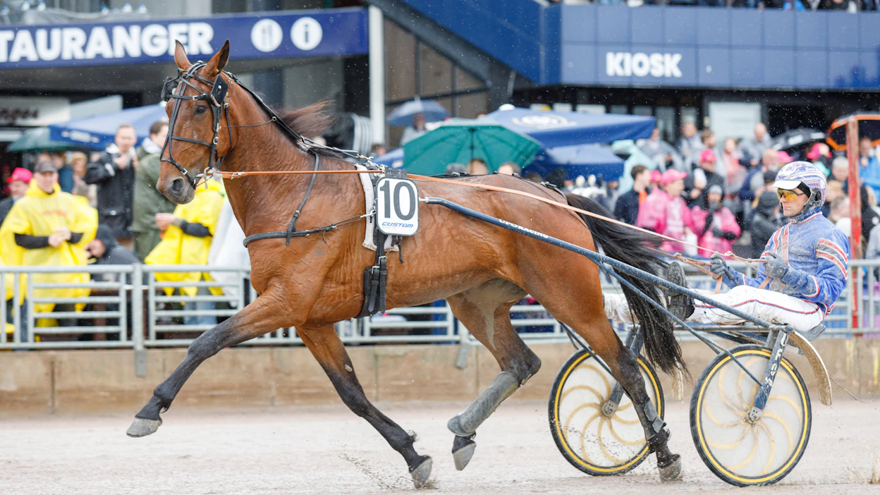 Tomas Pettersson kuvassa Elitloppet-viikonloppuna Quarcian rattailla. Lauantain 75:ssä Bollnäsin valmentaja ohjastaa sekä vihjeen pankkia Musett Af Djupmyraa että pommia Madam Af Djupmyraa.