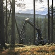 Valtion nopein keino hakattujen kuutioiden vähentämiseen olisi Metsähallituksen omistajaohjauksen muuttaminen. Kuvituskuva.