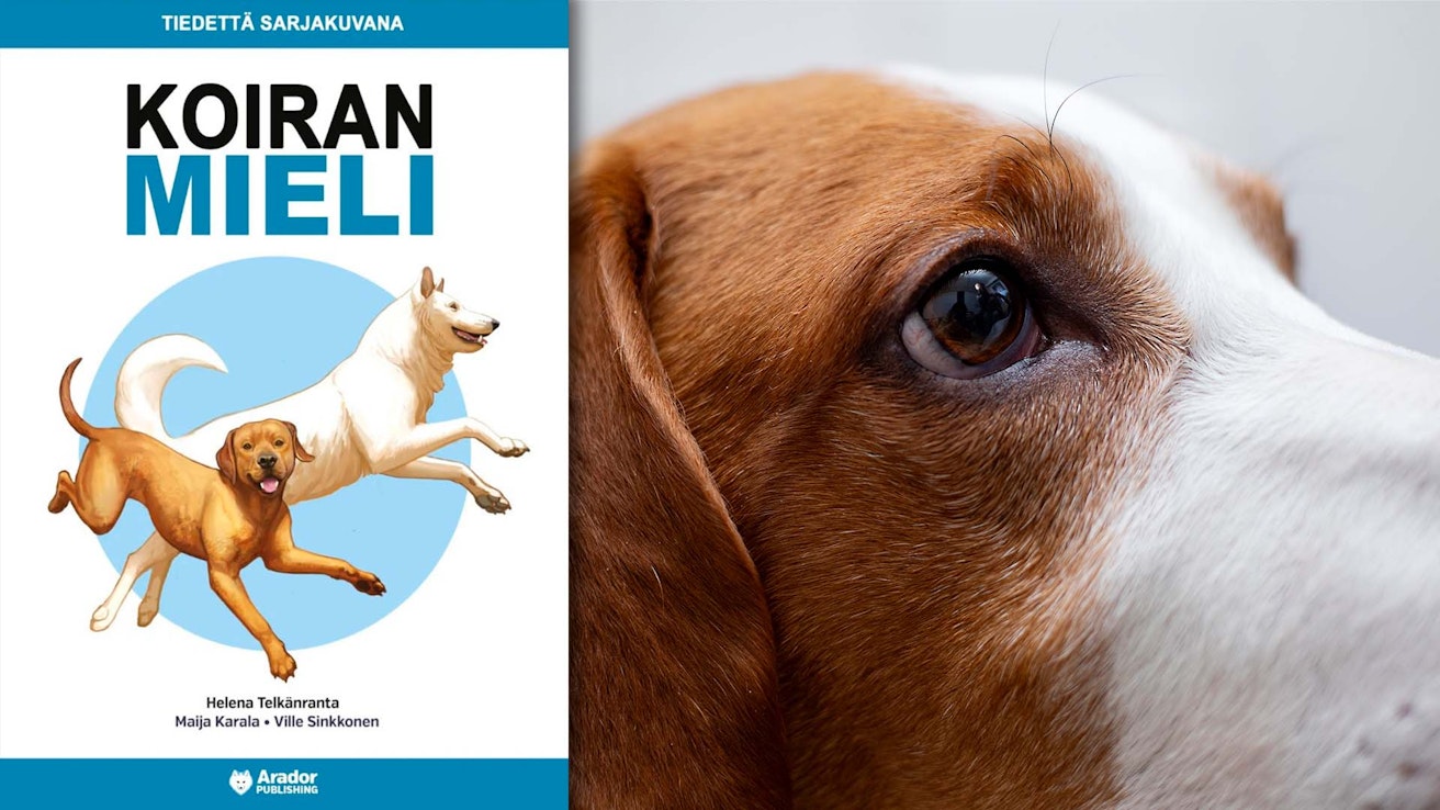 Helena Telkänranta, Maija Karala ja Ville Sinkkonen: Koiran mieli – tiedettä sarjakuvana. Arador Publishing. 80 sivua.