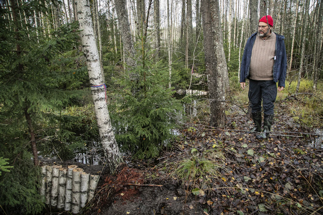 Esko Vuorisen mukaan Raaseporissa kunnostetun lähteikön ääreltä löytyy yhä tarpeeksi elpymiskykyistä lähdelajistoa. Siksi kohde valikoitui ennallistettavaksi.