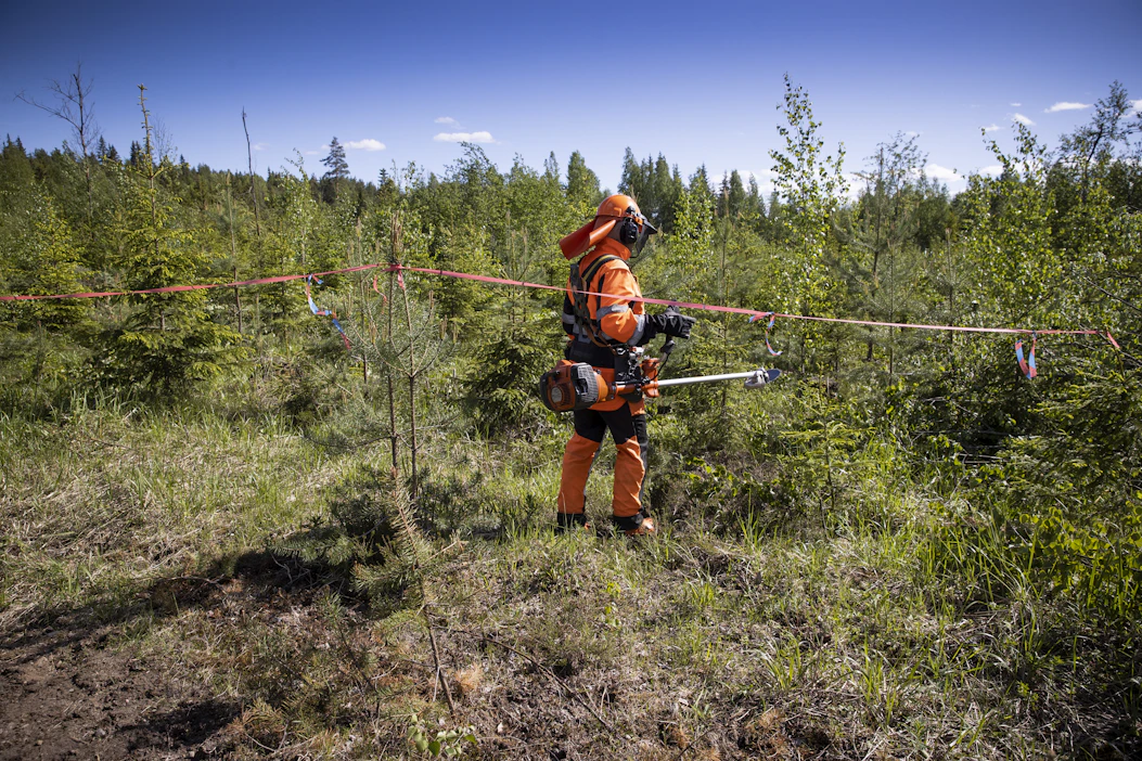 Taimikon varhaishoitoon tarkoitettu kemera-tuki säilyy tuulivoimala-alueella, jos maa-ala säilyy metsätalouskäytössä.