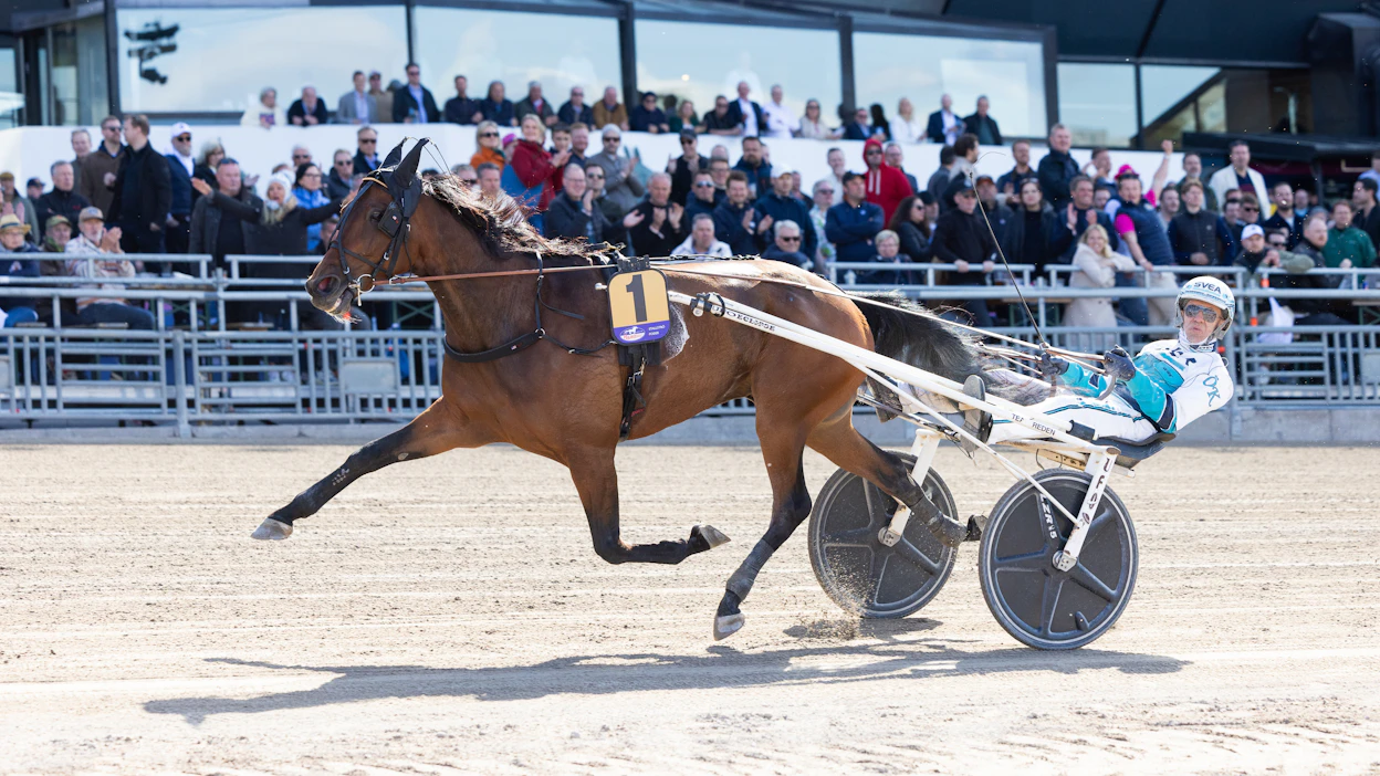 Double Deceiver on voittanut uransa 40 startista 20. Ennätys on lukemissa 8,6aly. Voittosumma on 9,7 miljoonaa kruunua. Kuvan Örjan Kihlström on ajanut yhtä lukuun ottamatta ruunan kaikki Euroopan startit. Uransa Double Deceiver aloitti Pohjois-Amerikassa.