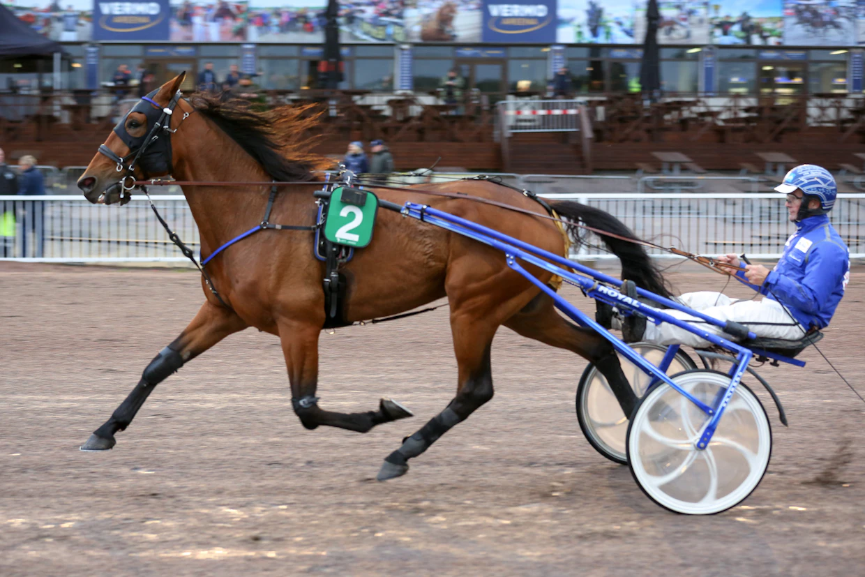 Juha Länsimäki ohjasti Speedy Scionia derbykarsinnoissa vuonna 2021.