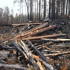 Kalajoella paloi viime kesänä 227 hehtaaria metsää tupakantumpista levinneen metsäpalon myötä. Palo oli suurimpia kymmeniin vuosiin.