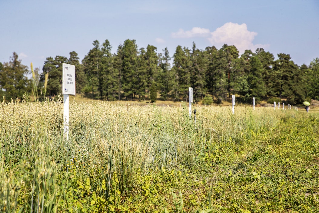 Maaperän kunto vaikuttaa ekosysteemeihin, ilmastoon ja ruuantuotantoon.