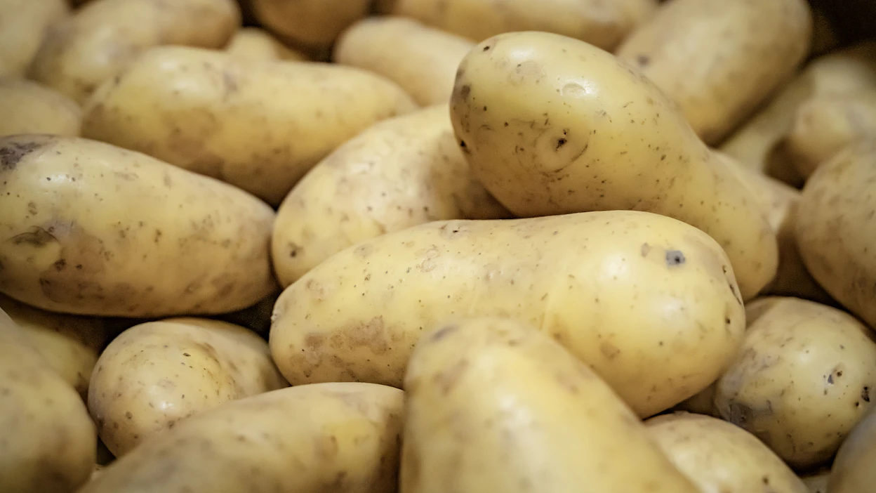 Perunaa Mummon-tuotteiden valmistamiseen kuluu vuositasolla noin 40 miljoonaa kiloa.