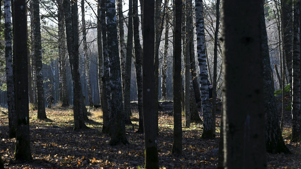 Suomessa eletään tilastoihin peilattuna varsin lauhaa syksyä. Kuva viikonvaihteesta Espoon Oittaalta. LEHTIKUVA / Heikki Saukkomaa.