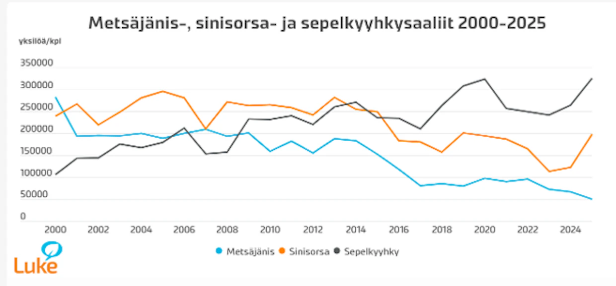 Sepelkyyhkyjä saatiin vuonna 2025 saaliiksi ennätyksellinen määrä, peräti 324 000 yksilöä. Metsäjänissaalis sen sijaan jäi tilastointihistorian pienimmäksi.
