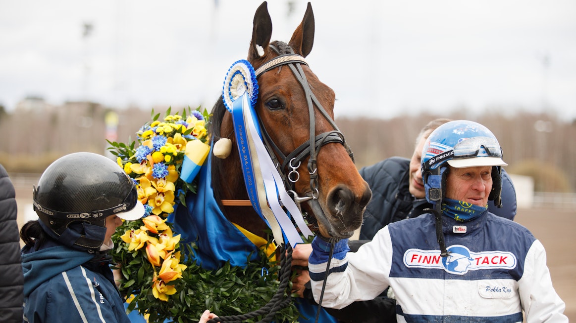 Magical Princess, Pekka Korpi ja Jenina Hamari juhlimassa Arvid Åvallin TammaDerbyn voittoa vappuaattona. Tähtitamma kohtaa tänään uuden haastajan, Suomessa ja tauolta äärimmäisen lupaavasti avanneen Manny Musclen. Kyseessä on kolmevuotiaiden Breeders’ Crownin kakkonen ja Ruotsin Kriterium-finalisti.