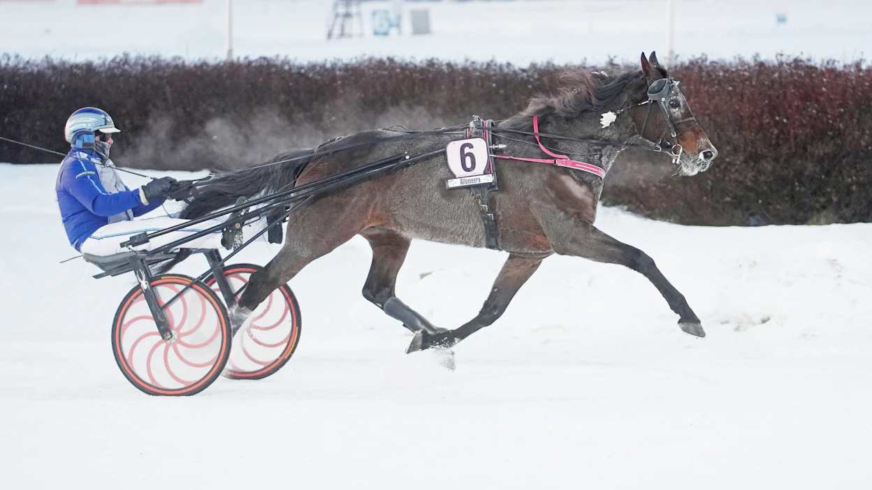 Hierro Boko karkasi vastustajiltaan Seinäjoella. Jarmo Saarela ohjasti.