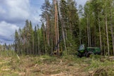 Myydyt metsät sijaitsevat Kainuussa ja Pohjois-Karjalassa. 