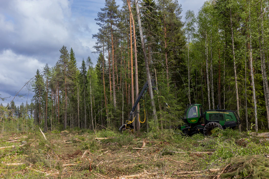 Myydyt metsät sijaitsevat Kainuussa ja Pohjois-Karjalassa.