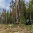 Myydyt metsät sijaitsevat Kainuussa ja Pohjois-Karjalassa.