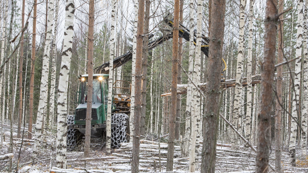 Metsän hiilinielujen säilyttäminen ja kasvattaminen on torstaina metsäalan pyöreän pöydän neuvottelujen asialistalla. 