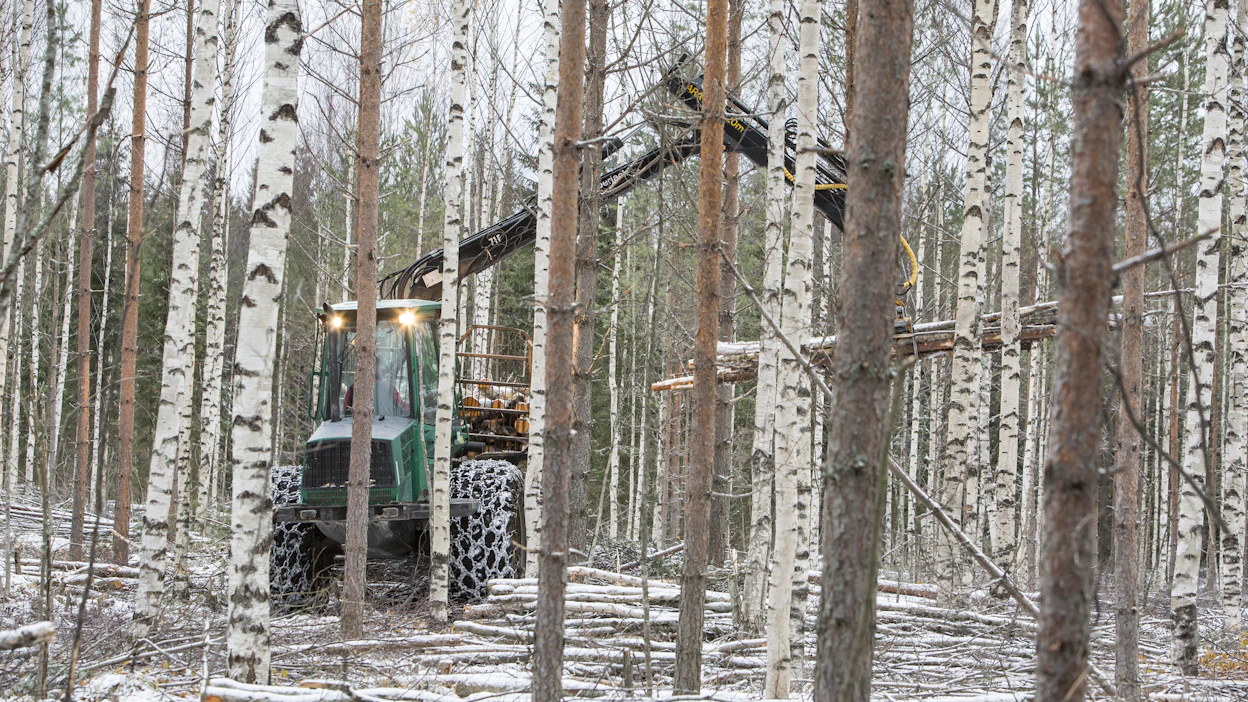 Metsärahastojen elämän odotetaan normalisoituvan tänä vuonna. Tuotot palaavat lähemmäksi niin sanottua perusuraa, jossa painottuvat puukauppa, puuston kasvu ja puustovarannon arvonmuutokset.