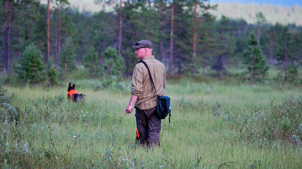Kanakoirat ohjaajineen kulkivat yhteensä noin 690 kilometriä laskentalinjaa, joka kattoi tasaisesti koko Ylä-Lapin.
