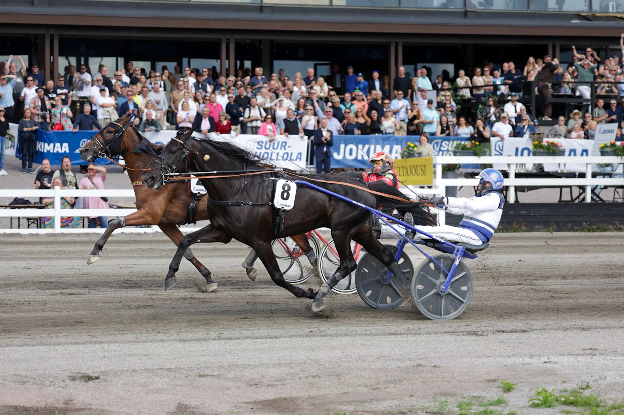 Stoneisle Vertigo ehti lähelle, muttei koskaan Run For Royaltyn ohi.