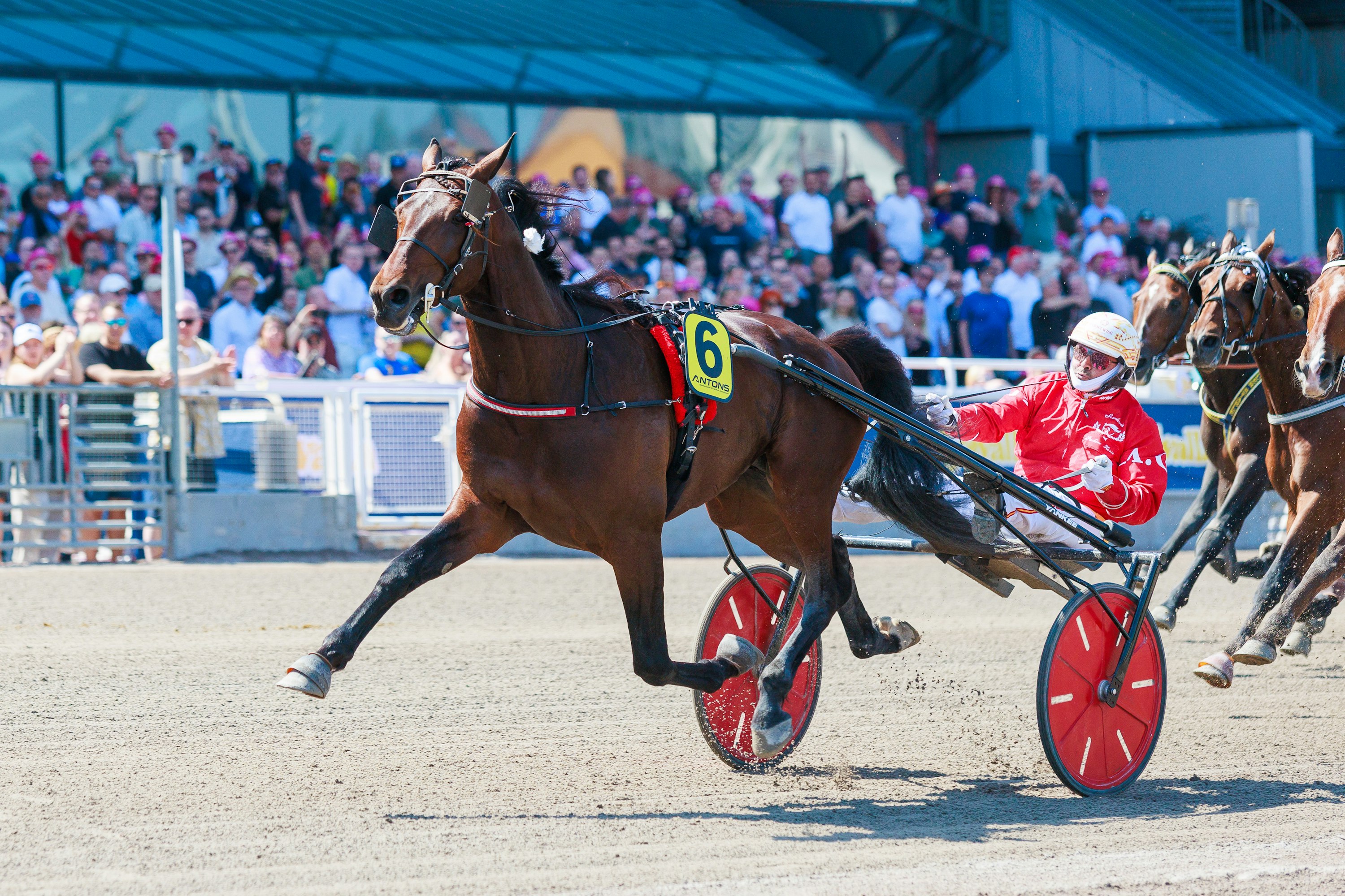 Kaksi vuotta sitten Diamond Truppo voitti karsintalähtönsä Elitloppet-viikonlopun kakkoskisaan Sweden Cupiin. Finaalissa ori oli kolmas ennätyksellään 09,6a.