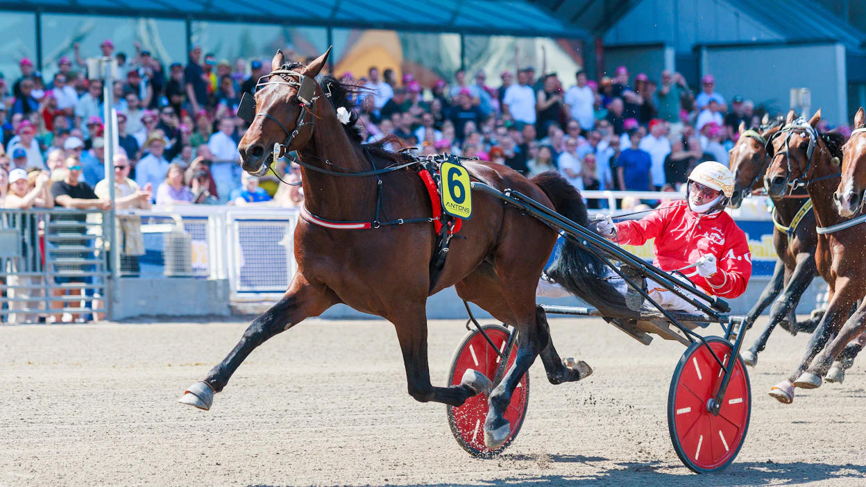 Diamond Truppo ja Alessandro Gocciadoro voittamassa Sweden Cupin karsintaa.