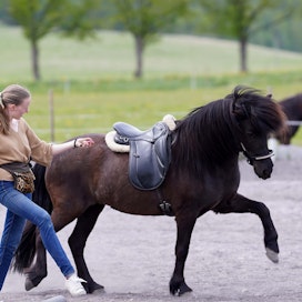 ”Intrinzenin upeana sivutuotteena tulee ihmisen ja hevosen välisen suhteen paraneminen, koska dynamiikka ihmisen ja hevosen välillä muuttuu täysin verrattuna tavalliseen paineella kouluttamiseen”, kertoo Beatrice Skärström-Masson. 