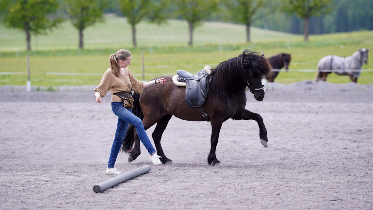 ”Intrinzenin upeana sivutuotteena tulee ihmisen ja hevosen välisen suhteen paraneminen, koska dynamiikka ihmisen ja hevosen välillä muuttuu täysin verrattuna tavalliseen paineella kouluttamiseen”, kertoo Beatrice Skärström-Masson. 