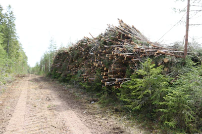 Nyt tehtyjen muutosten tavoitteena on kannustaa metsänomistajia nuorten metsien hoitoon ja sen yhteydessä tehtävään pienpuun keruuseen. Asiasta päätettiin valtioneuvoston istunnossa 12.5.2022