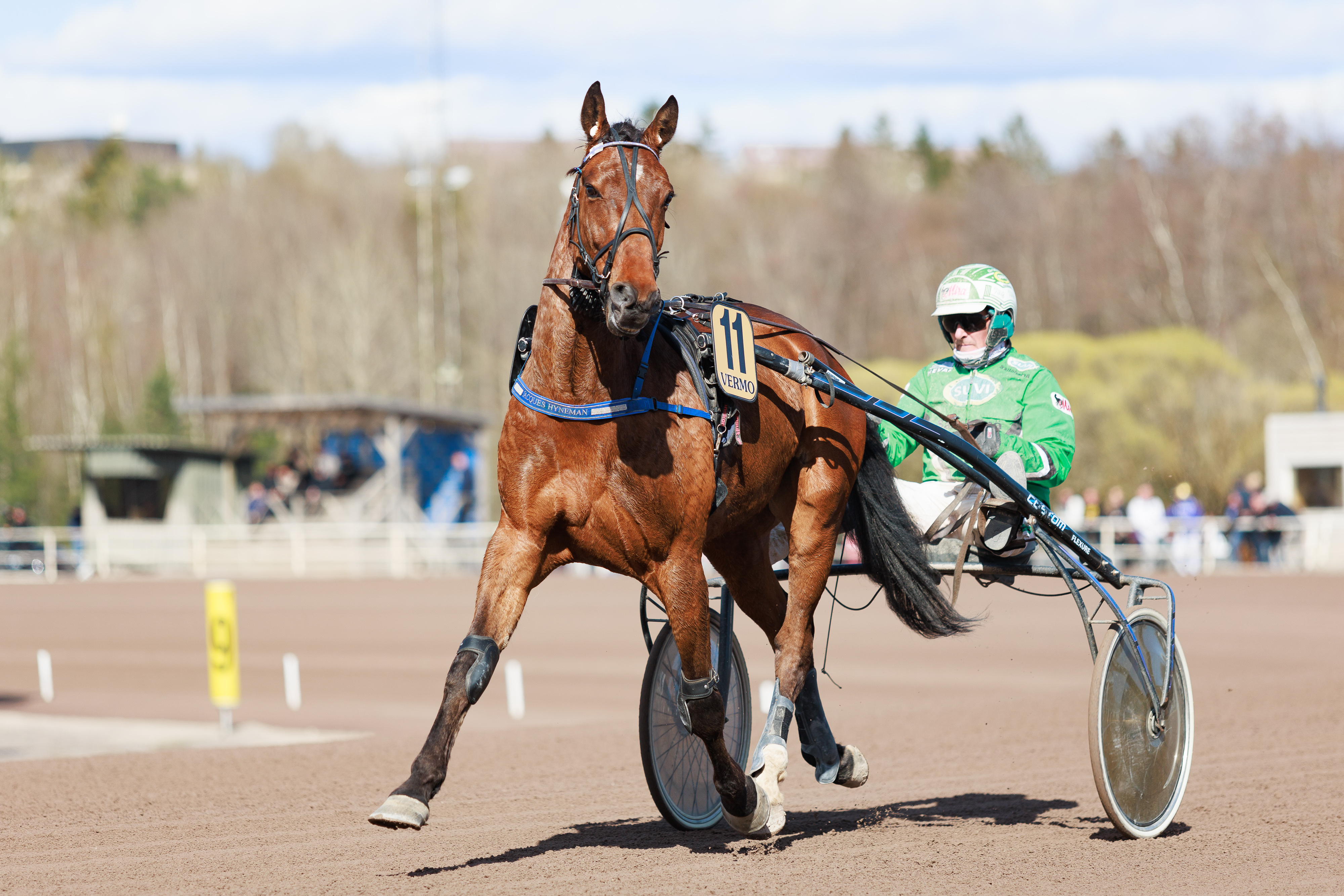 Jacques Hyneman ja Ari Moilanen tavoittelevat voittoa vihjerivin varmana.