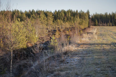 EU haluaa lisää valtaa päättää jäsenvaltioidensa maa- ja metsätalouden hoidosta.