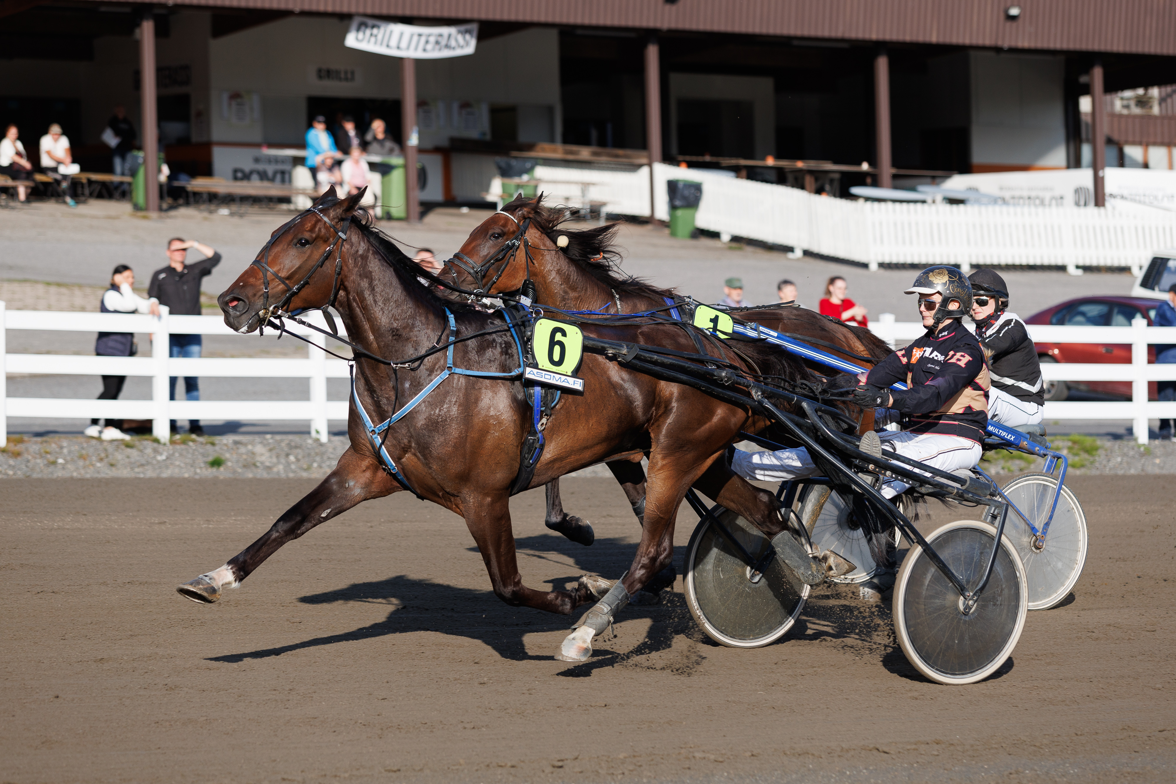 Sari Torniaisen The Big Payback on voittanut kuluvalla kaudella jo viidesti. Kuvassa ruuna voittaa Mikkelissä elokuun lopulla Oona Halmeen ohjastamana.