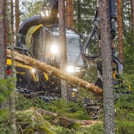 Pekka Äänismaan mielestä Itä-Suomessa on jo paljon muun muassa metsään ja teknologiaan perusteuvaa osaamista. 