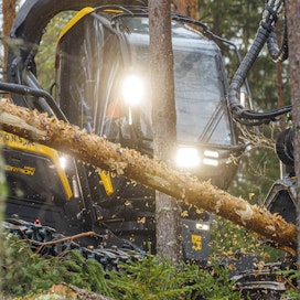 Metsä ja siihen liittyvä teollisuus on merkittävä työllistäjä monissa Ruotsin kunnissa.