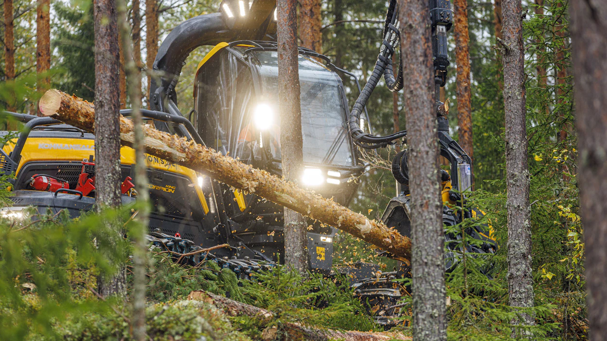 Metsä ja siihen liittyvä teollisuus on merkittävä työllistäjä monissa Ruotsin kunnissa.