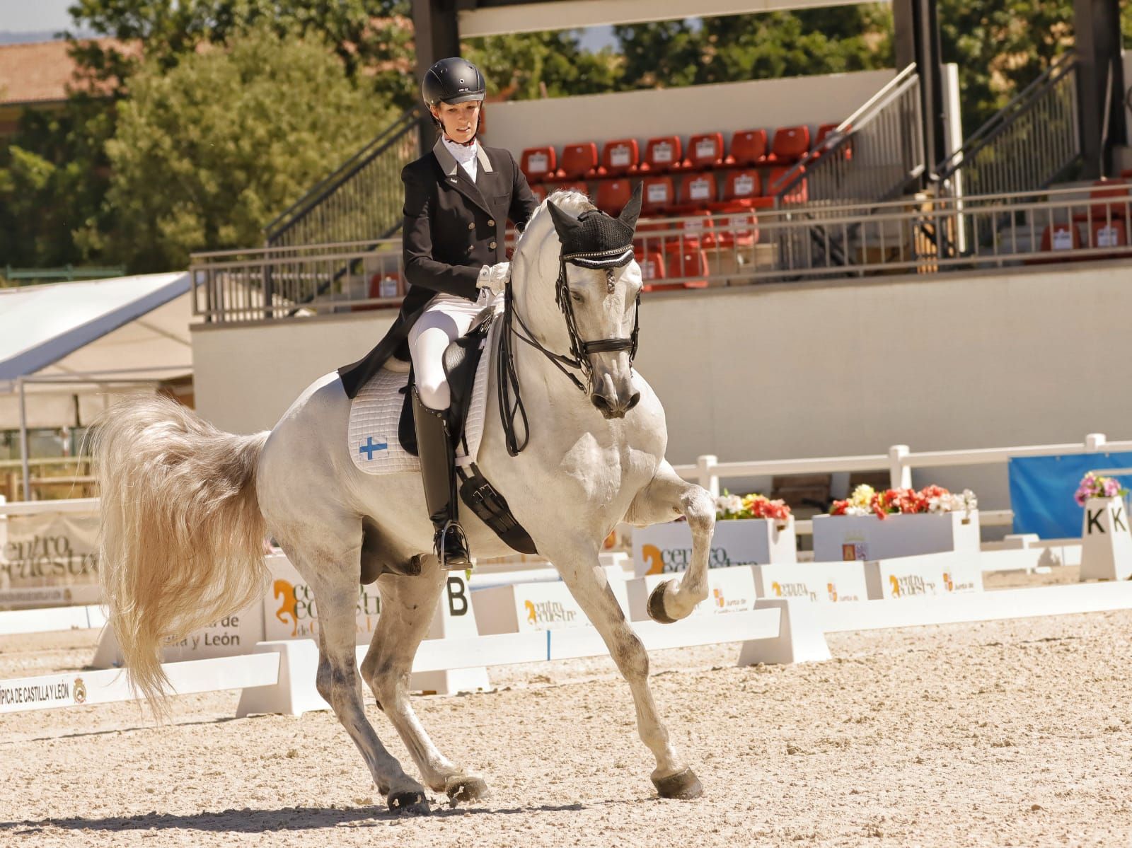 Matilda Schmechelin Zagala Azores on näyttävä hevonen.