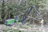 Metsänomistajille merkittäviä taloudellisia tappioita aiheuttavaa juurikääpää on vaikea tunnistaa ennen hakkuuta. Uudessa hankkeessa taudin torjuntaa pyritään tehostamaan hakkuukoneiden keräämän lahotiedon avulla. 
