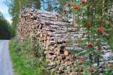 Puukauppaa on käyty jo neljä viikkoa peräkkäin vilkkaammin kuin kolmena aiempana vuonna vastaavilla viikoilla.