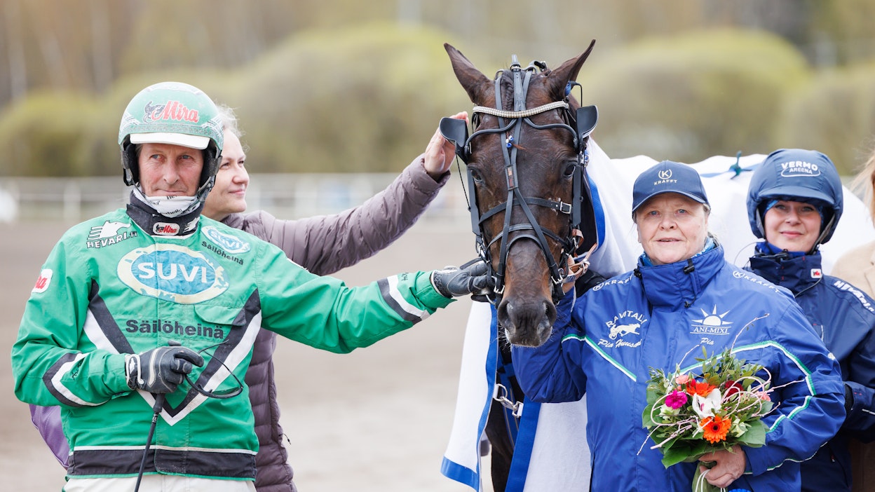 Vincent C.D. on ollut tänä vuonna Pia Huusarin tallin ilonaihe. Vasemmalla ohjastaja Ari Moilanen. Lappeessa esillä on erityisesti tallin nuorisokaarti.