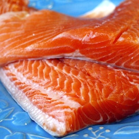 Kalavapriiki haluaa vaihtaa kirjolohen nimen.