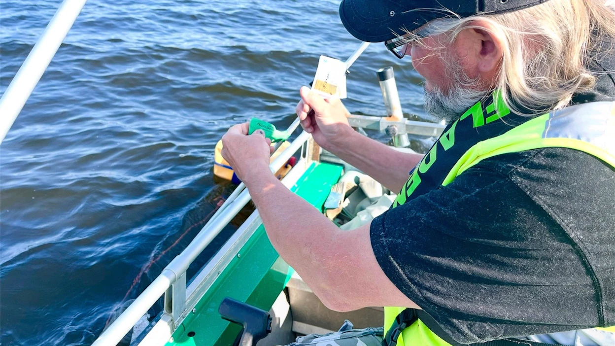 Pyydykseen jätetty vihreä lappunen kertoo kalastajalle siitä, että kalastuksenvalvoja on tarkastanut pyydyksen ja todennut kaiken olevan kunnossa.
