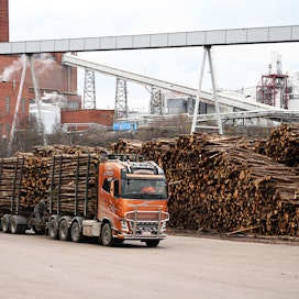 Sunilan tehtaan vuosikapasiteetti on 375 000 tonnia havusellua, ja se työllistää noin 270 henkilöä. Suunniteltu sulkeminen tapahtuisi vuoden 2023 jälkipuoliskolla ja koskisi arviolta 250 työntekijää, mikä vähentäisi Stora Enson vuotuista markkinasellukapasiteettia 13 prosenttia.