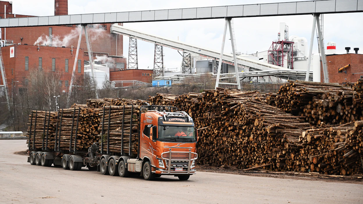 Sunilan tehtaan vuosikapasiteetti on 375 000 tonnia havusellua, ja se työllistää noin 270 henkilöä. Suunniteltu sulkeminen tapahtuisi vuoden 2023 jälkipuoliskolla ja koskisi arviolta 250 työntekijää, mikä vähentäisi Stora Enson vuotuista markkinasellukapasiteettia 13 prosenttia.