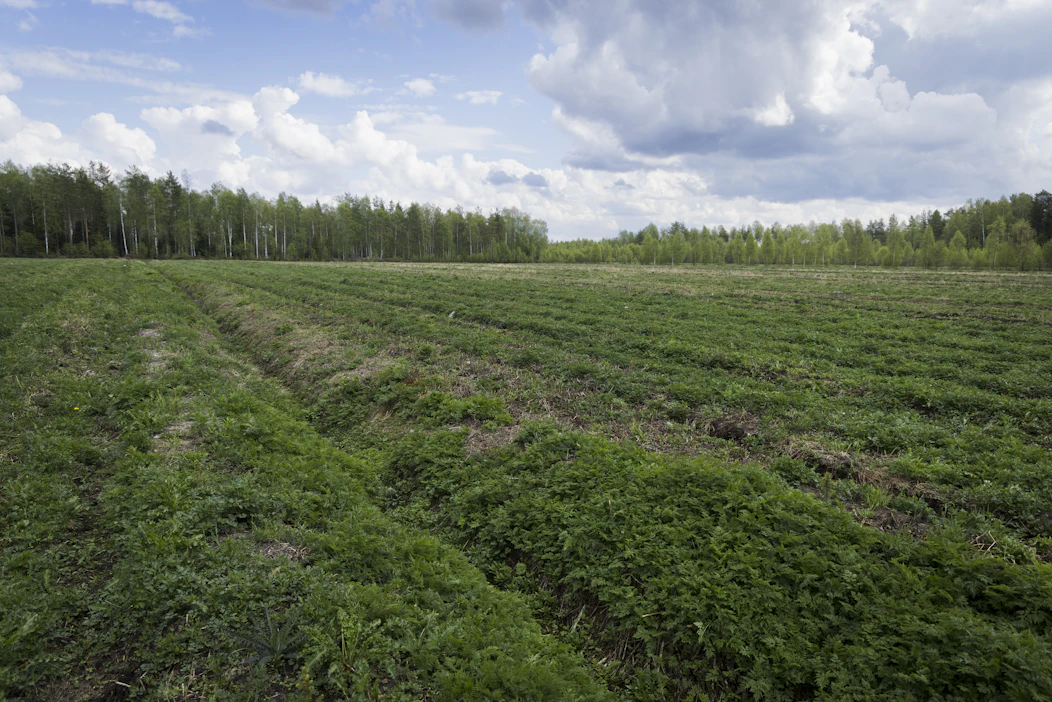 Hyvällä suunnittelulla parannetaan metsitettävän alueen virkistyskäyttö-, luonto- ja maisema-arvoja.